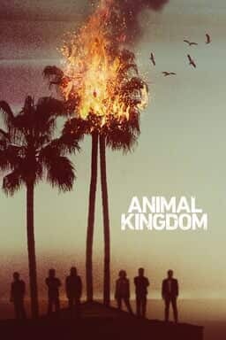 Animal Kingdom - Seizoen 1
